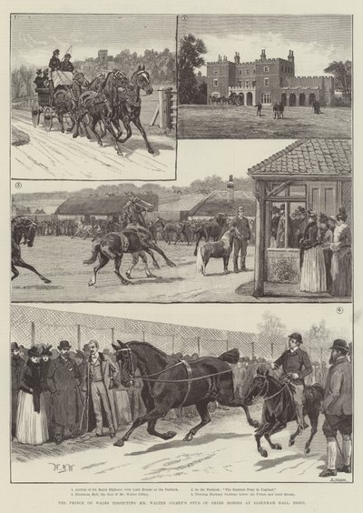 El Príncipe de Gales inspeccionando el establo de caballos de tiro de Mr. Walter Gilbey en Elsenham Hall, Essex de William Barnes Wollen